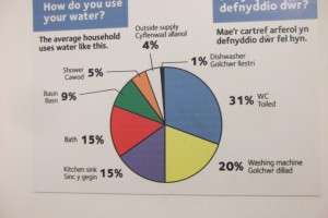 pie chart of domestic water use